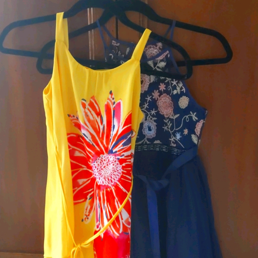 2 fancy dresses for a little girl.